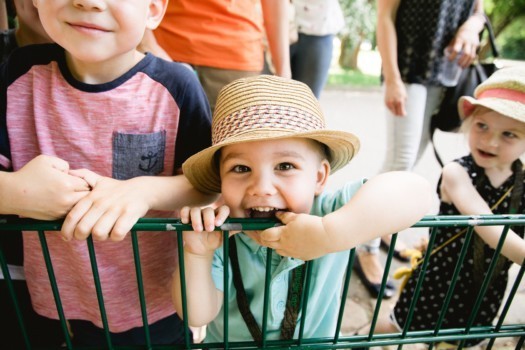 A boy looks forward to a visit to the zoo