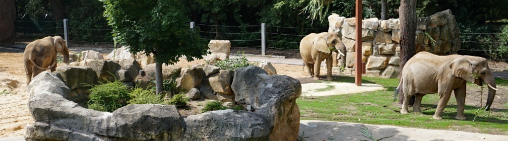 zoo dresden preise und öffnungszeiten