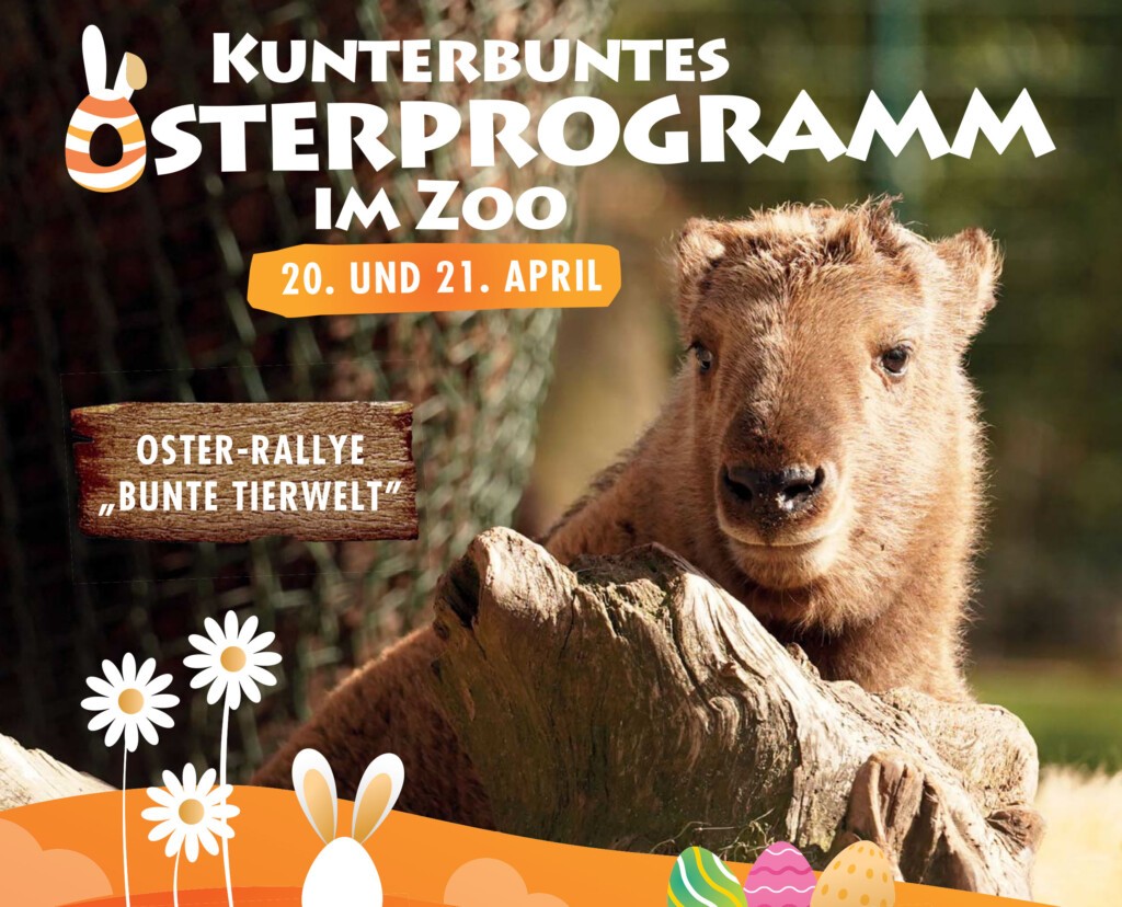 Osterprogramm Zoo Dresden 2025