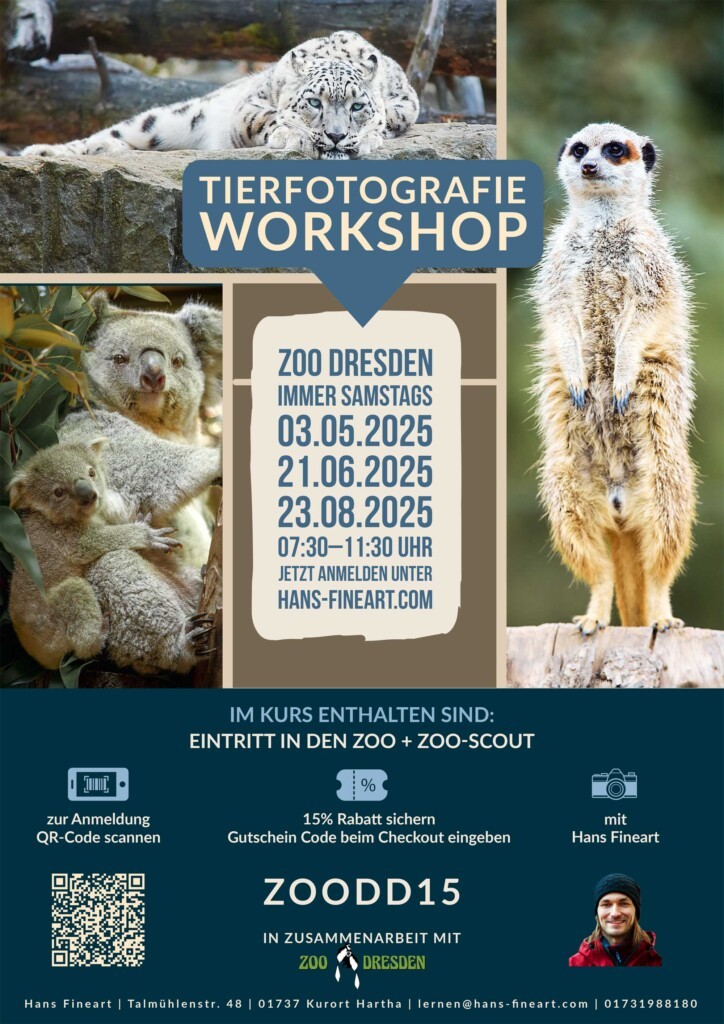 Tierfotografie-Workshop