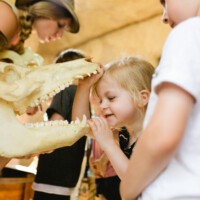 Kindertour im Zoo Dresden