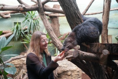 Tierinventur im Zoo Dresden